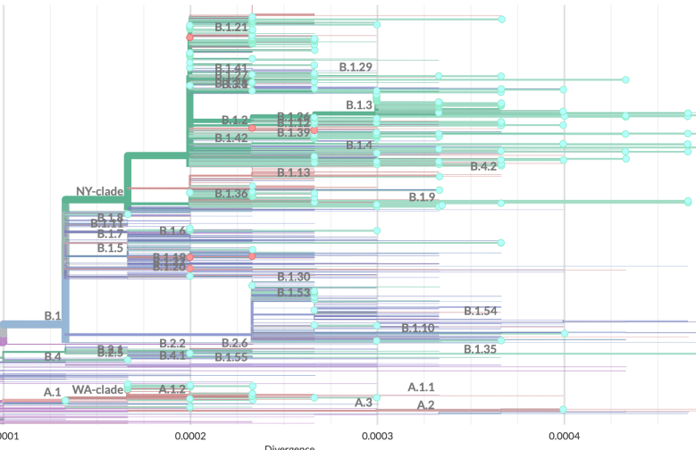 Update 11 Feature Image